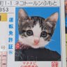 らー's profile picture