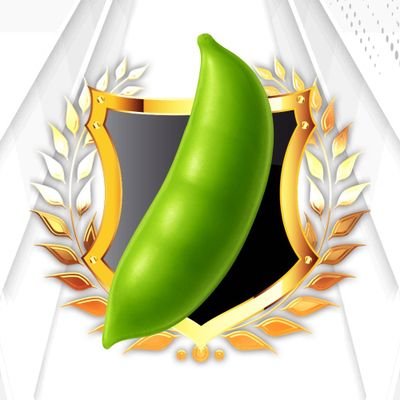エンドウ🫛@マルハン新宿東宝ビル店's profile picture