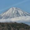 Фото профиля HARU FUJIWARA