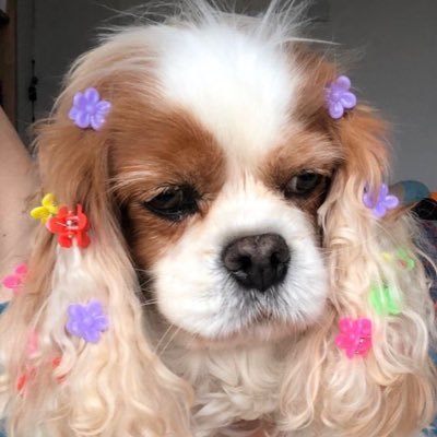 GL's profile picture