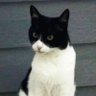 casbet789's profile picture