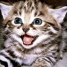 Cezzar409981's profile picture