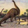 Brontosaurus's profile picture