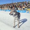 Фото профиля Ramón Bolke