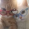Ju's profile picture