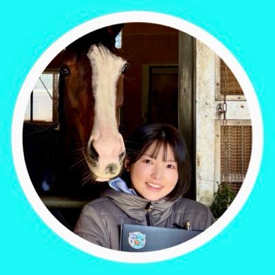 morita_mina's profile picture