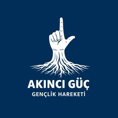 akinciguc_'s profile picture