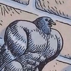 PigeonHyper's profile picture