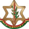 IDFKURDI - FAN ACCOUNT 的头像