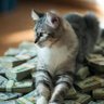 Фото профиля darksubnet