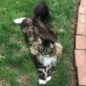 Denise W profil fotoğrafı