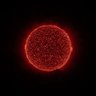 Фото профиля maroonmarbles
