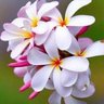 Фото профиля Aiman issa