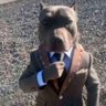 Profilbild von el_barto