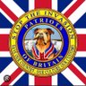 UK Patriot 🇬🇧's profile picture