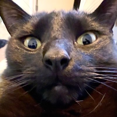Diff's profile picture