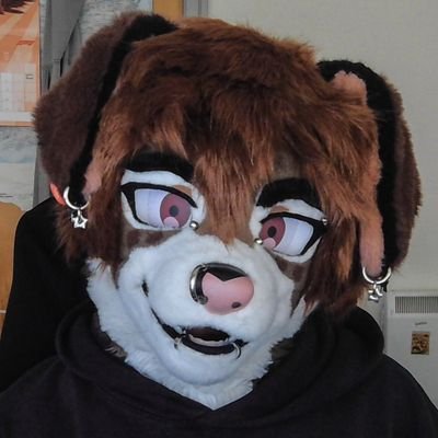 locky 🐶's profile picture