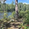 Фото профиля Mole Lake
