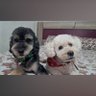 KodayLupe profil fotoğrafı