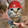 Profilbild von Juio