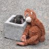 Фото профиля mixxxv