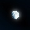 Moon 的头像