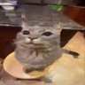 mr.spy's profile picture