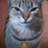 ❀. Erika .*ೃ profil fotoğrafı