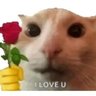 Фото профиля meme_ucul