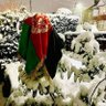Baz Afghan profil fotoğrafı