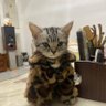 Фото профиля Artem