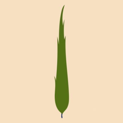 فلات ایران's profile picture