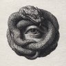 ©️'s profile picture