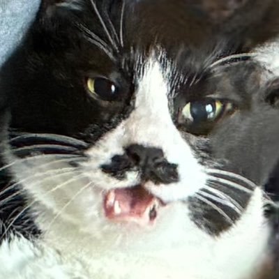 cokemusun's profile picture