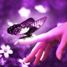 💚به تو از دور سلام...💚 profil fotoğrafı
