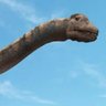 Фото профиля Argentinosaurio