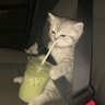 Фото профиля はぁーい!
