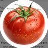 akaitomato profil fotoğrafı
