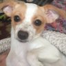 ShirleyA's profile picture