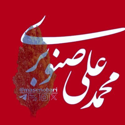 قلب صنوبری | Mohammad Ali Senobari's profile picture