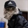 kkki's profile picture