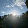 Фото профиля 明日はきっと今日より良い