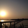 モンク流's profile picture