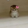 MARIY_APHIC 的头像
