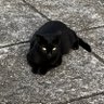 Profilbild von JayH