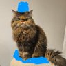Profilbild von Aban