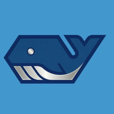 クジラボ / KUZILAB's profile picture