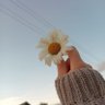 (ورده)🌸🇸🇦 的头像