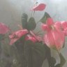 Фото профиля MARCOS