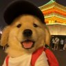 空月 profil fotoğrafı